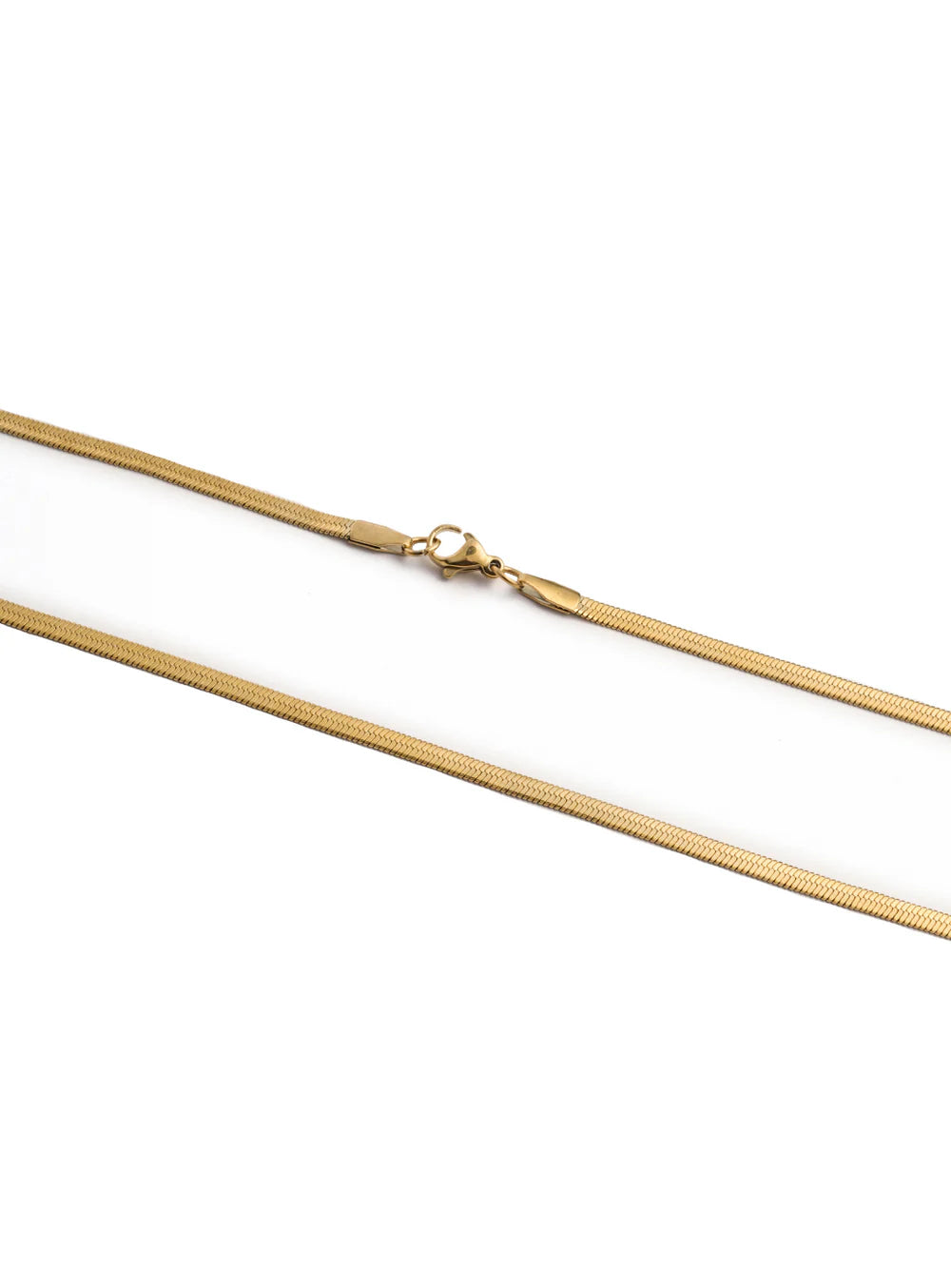 Golden Foxtail chain necklace by Stawp displayed against a white background, showing the full length and detailed, fine link pattern of the necklace, including the clasp.