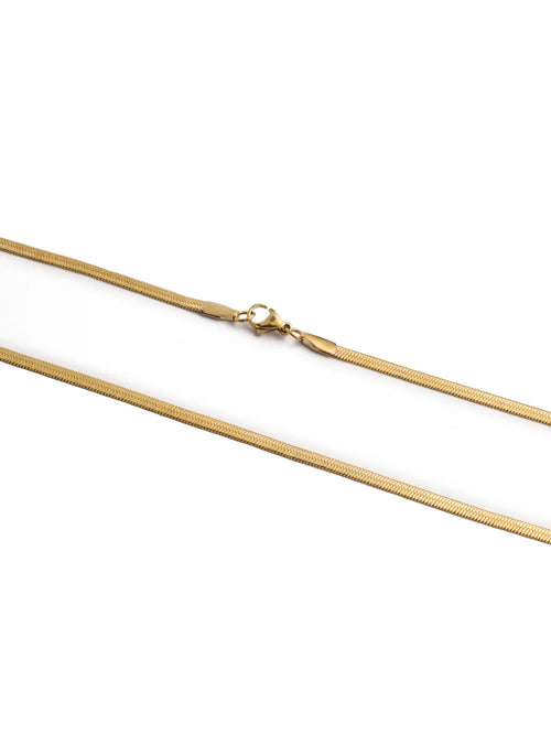 Golden Foxtail chain necklace by Stawp displayed against a white background, showing the full length and detailed, fine link pattern of the necklace, including the clasp.